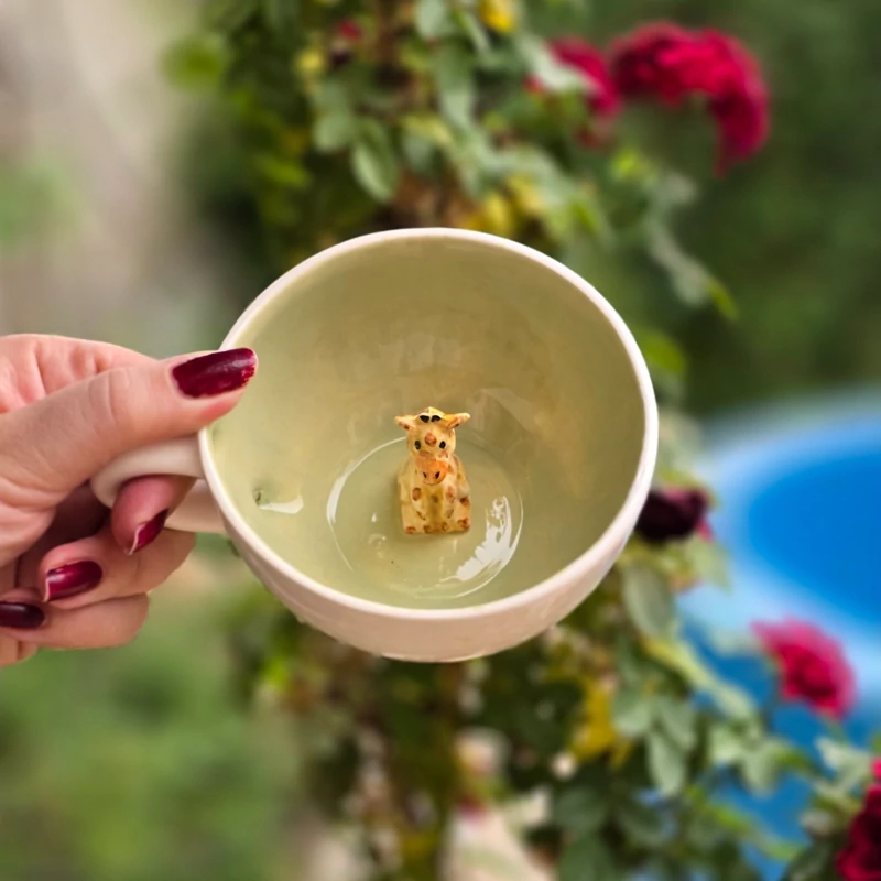 ماگ های سورپرایزی در طرح های مختلف